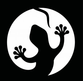 Саламандра