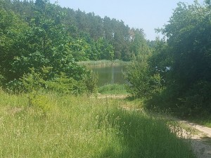 ул. Антоновича (г. Житомир, Богунский район) - Продається сільськогосподарська ділянка, 10500 $ - АФНУ