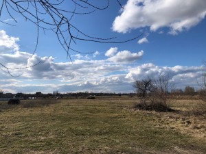 Січнева (пгт. Великая Димерка, Броварской район) - Продається ділянка під забудову, 10000 $ - АФНУ