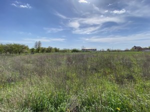 пл. Польова (г. Винница, Старогородской район) - Продається ділянка під забудову, 10000 $ - АФНУ