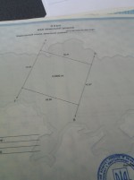 Небіжка (с. Озерцо, Киверцовский район) - Продається сільськогосподарська ділянка, 70000 $ - АФНУ