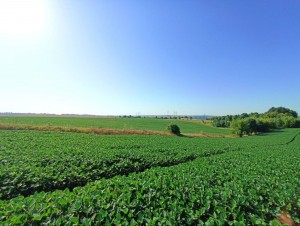 Вінницька обїзна (г. Хмельницкий, Раково) - Продається сільськогосподарська ділянка, 80000 $ - АФНУ