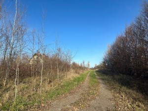 Урочище Боднарчик (с. Угринов, Тысменицкий район) - Продається ділянка під забудову, 26000 $ - АФНУ