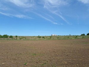 ул. Східна (с. Лесовые Гриновцы, Хмельницкий район) - Продається сільськогосподарська ділянка, 7740 $ - АФНУ