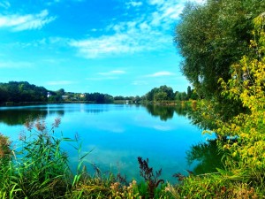 Молодіжна (с. Музичи, Киево-Святошинский район) - Продається ділянка під забудову, 21900 $ - АФНУ