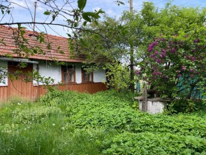 Українська (с. Ценявая, Коломыйский район) - Продається будинок, 8500 $ - АФНУ