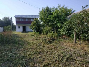 ул. Шевченка, 12 (с. Погребы, Васильковский район) - Продається ділянка під забудову, 16500 $ - АФНУ