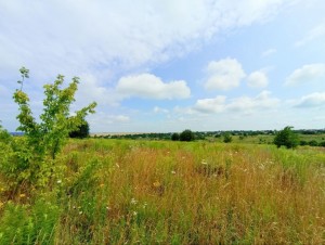 Максима Рильського, 34 (г. Хмельницкий, Княжичі) - Продається ділянка під забудову, 6000 $ - АФНУ