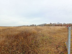 ул. Городня (с. Лесовые Гриновцы, Хмельницкий район) - Продається сільськогосподарська ділянка, 5000 $ - АФНУ