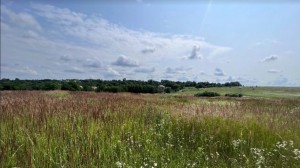 ул. Городня (с. Лесовые Гриновцы, Хмельницкий район) - Продається сільськогосподарська ділянка, 5000 $ - АФНУ