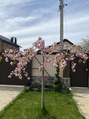 ул. Генерала Арабея, 34 (г. Винница, Ленинский район) - Продається будинок, 310000 $ - АФНУ