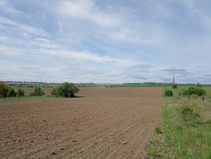 ул. Східна (с. Лесовые Гриновцы, Хмельницкий район) - Продається сільськогосподарська ділянка, 7200 $ - АФНУ