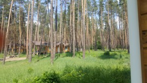 Тихий Бор (с. Революционное, Волчанский район) - Продається ділянка під забудову, 20000 $ - АФНУ