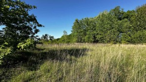 ул. Параджанова (г. Житомир, Королевский район) - Продається ділянка під забудову, 5500 $ - АФНУ