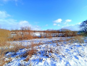 СТ Енергія (с. Давыдковцы, Хмельницкий район) - Продається сільськогосподарська ділянка, 10000 $ - АФНУ