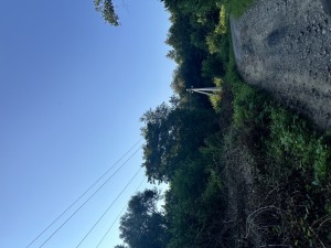 Гута (с. Гута, Ужгородский район) - Продається сільськогосподарська ділянка, 100000 $ - АФНУ