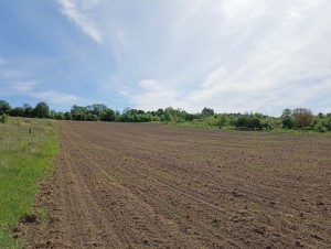 ул. Східна (с. Лесовые Гриновцы, Хмельницкий район) - Продається сільськогосподарська ділянка, 7380 $ - АФНУ