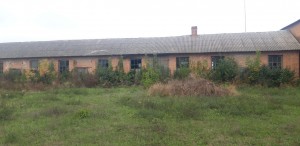 ул. Колгоспна, 15 (с. Озерна, Белоцерковский район) - Продається промисловість, 14000 $ - АФНУ