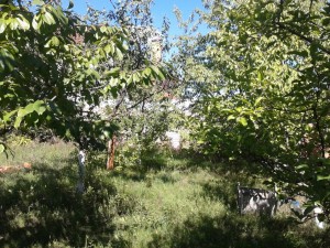 ул. Подлесная, 87 (с. Новоселовка, Новомосковский район) - Продається ділянка під забудову, 19000 $ - АФНУ