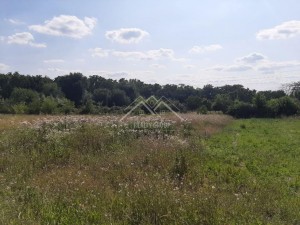 ул. Фиалковая (с. Вольное, Криворожский район) - Продається сільськогосподарська ділянка, 5500 $ - АФНУ