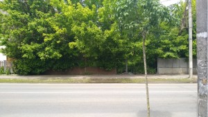 ул. Берчени (г. Ужгород, центр) - Продається ділянка під забудову, 155000 $ - АФНУ