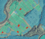 ул. Нова (с. Дениши, Житомирский район) - Продається ділянка під забудову, 2700 $ - АФНУ