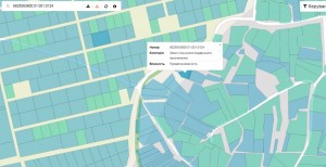 ул. Котовського, 54/1 (с. Лесовые Гриновцы, Хмельницкий район) - Продається сільськогосподарська ділянка, 7000 $ - АФНУ