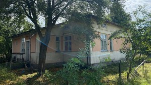 Кузіва, 3 (с. Пацыков, Долинский район, Долинский) - Продається будинок, 220000 $ - АФНУ