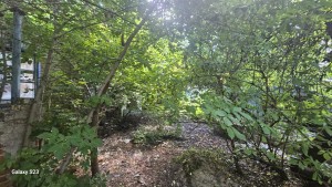 Домашенкова, 3 (с. Мотижин, Макаровский район) - Продається ділянка під забудову, 12000 $ - АФНУ