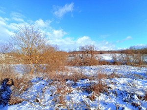 СТ Енергія (с. Давыдковцы, Хмельницкий район) - Продається сільськогосподарська ділянка, 10000 $ - АФНУ