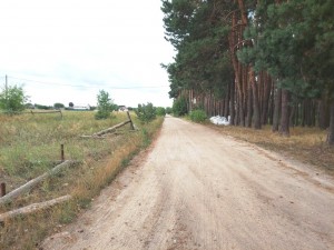 Хмільова (с. Солнечное, Житомирский район) - Продається ділянка під забудову, 8800 $ - АФНУ