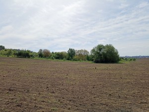 ул. Східна (с. Лесовые Гриновцы, Хмельницкий район) - Продається сільськогосподарська ділянка, 8160 $ - АФНУ