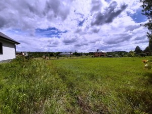 Степова (с. Тетеровка, Житомирский район) - Продається сільськогосподарська ділянка, 12500 $ - АФНУ