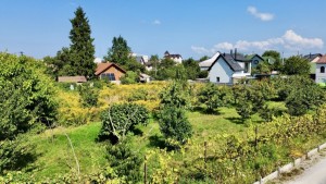 25 Садова, 63 (г. Киев, Святошинский район) - Продається ділянка під забудову, 170000 $ - АФНУ