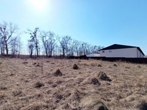 Центральна (с. Лесовые Гриновцы, Хмельницкий район) - Продається сільськогосподарська ділянка, 27000 $ - АФНУ