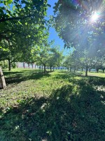 Прикордонників, 19 (г. Хмельницкий) - Продається сільськогосподарська ділянка, 90000 $ - АФНУ