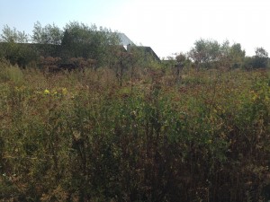 Я.Мудрого (г. Коломыя) - Продається ділянка під забудову, 5000 $ - АФНУ