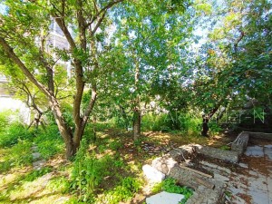 ул. Китобойная (г. Одесса, Киевский район) - Продається ділянка під забудову, 220000 $ - АФНУ