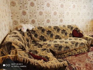 пр. Центральный, 177А (г. Николаев, Центральный район) - Продається квартира, 21500 $ - АФНУ