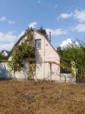 ул. Лесная (с. Сухолесы, Белоцерковский район) - Продається будинок, 10000 $ - АФНУ