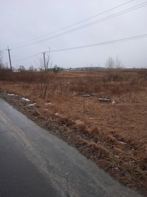 Заліська (пгт. Великая Димерка, Броварской район) - Продається сільськогосподарська ділянка, 55000 $ - АФНУ