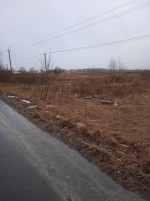 Заліська (пгт. Великая Димерка, Броварской район) - Продається сільськогосподарська ділянка, 55000 $ - АФНУ