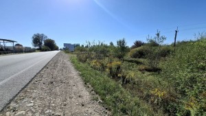 ул. Шевченка (с. Березовка, Тысменицкий район) - Продається сільськогосподарська ділянка, 162500 $ - АФНУ