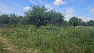 Топольова (с. Мотижин, Макаровский район) - Продається ділянка під забудову, 12500 $ - АФНУ