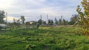 ул. Шевченка (с. Тетеровка, Житомирский район) - Продається ділянка під забудову, 22000 $ - АФНУ