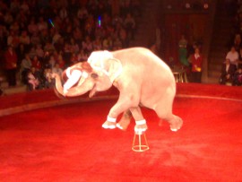 Финансы.Недвижимость.Обзор рынков